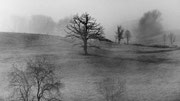 Photo: C Delrieu