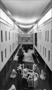Photo : S Bonnardot