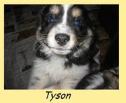 TYSON