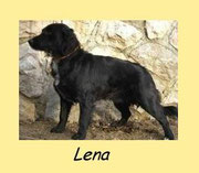 LENA