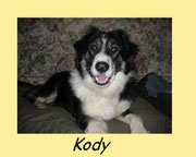 KODY