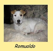 ROMUALDO