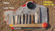 Ebbe, 2014, 46x71cm