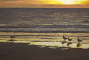 Golden Beach, Pastel on Pastelmat, 40x60cm, 2012