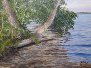 Am Ufer Plöner See, Öl auf Leinwand, 60x80cm, 2021