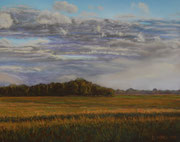 Abendhimmel über Marschland,  Pastel on Pastelcard, ca. 40x50cm, Private Collection