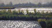 Marsh, Pastel on Pastelmat, 32x60cm, 2012, Private Collection