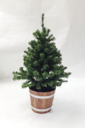 クリスマスツリー102　緑　900H　　900H　￥1,500　＊鉢カバーは別です＊