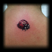 ladybug tattoo, tattoo mariquita