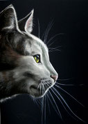 70x50cm. Pastel/Papier 200,-€