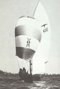 Valk 400