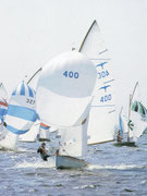 Valk 400