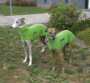 Enrico & Lynn im Partnerlook :-) **** Windhundpullover mit Snood - Erbse ****