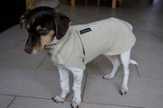 Skibby - Hundepullover mit Snood in Sand