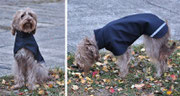 Hundedame Taxi - Hundemantel mit Gurt - Aussen Softshell // Innen: Fleece