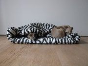 Sam (Whippet) & Pepper (Windspiel) in neuer Kuschelhöhle "Zebra"