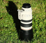 Canon 100-400 L IS USM