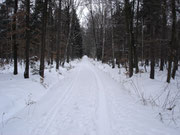 Sandweg Karswald Richtung Arnsdorf