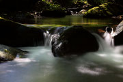 「渓流の夏」