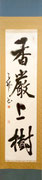 片芝青邦