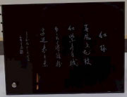 (賛助)大瀬寉士