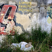 44
