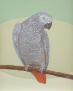鳥の肖像画ヨウム