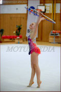 leotard rhythmic gymnastik