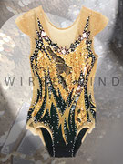Eleganter RSG Anzug mit Wendepailletten in Gold/Silber, Spiegelpailletten und hinterem Rockteil  / Vorderansicht / Gr. 152