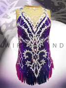leotard rhythmic gymnastik