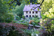 Ein wundervoller Garten