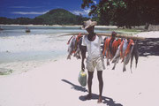 Seychelles , pêcheur