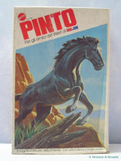 Horse "Pinto" in BIG JIM Horses