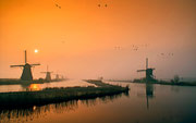 Foto van de maand: februari 2013     Zonsopkomst boven Kinderdijk