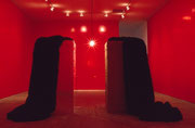 Labour-37, acrylic paint, fake fur, bulb, mirror, adobe brick, photo, text, mixed media installation, Size:6900x1390x46008(h)mm, SITE Santa Fe, New Mexico, 1996