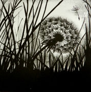 Pusteblume    30 x 30 cm   Steinlithographie