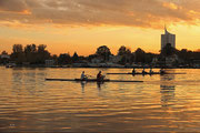 Alte Donau - 21.Oktober 2013