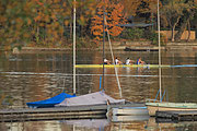 Alte Donau - 21.Oktober 2013