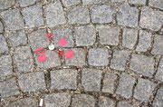 1010 Wien - Schottenstift