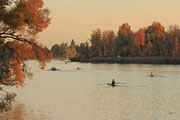 Alte Donau - 21.Oktober 2013