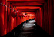 「伏見千本鳥居」京都･伏見稲荷 / 高橋：伏見稲荷神社を散策しているとき千本鳥居の前に来たら今までいた観光客が居なくなり鳥居の光景が違う光景になったので思わず撮った一枚です