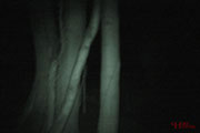 So sah es um uns herum aus. Sehr dunkel. #Ghosthunters #paranormal #übernatürlich #geist #ghosts