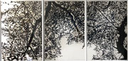 Matthieu ASTOUX- gravure triptyque noir et blanc ou noir et bleu sur commande, Galerie Gabel- Biot-Côte d'Azur