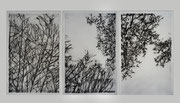 Matthieu ASTOUX- gravure triptyque noir et blanc ou noir et bleu sur commande, 260X120cm Galerie Gabel- Biot-Côte d'Azur