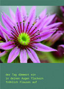 Postkarte_11
