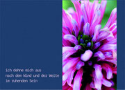 Postkarte_07