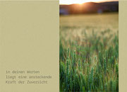 Postkarte_40