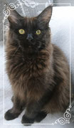 Bella