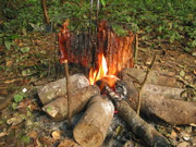 Aïmara grillé