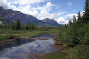 Bow Valley Provential Park